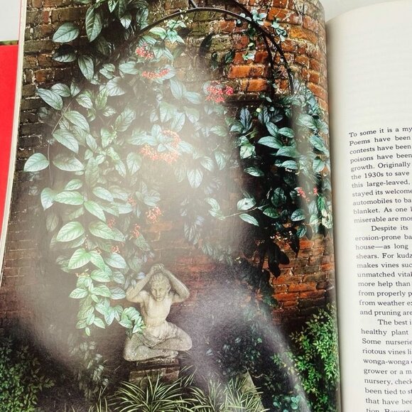 How to Grow Vines Vintage Time Life Gardening Books Encyclopedia u 1981 Hardcove - Picture 5 of 8